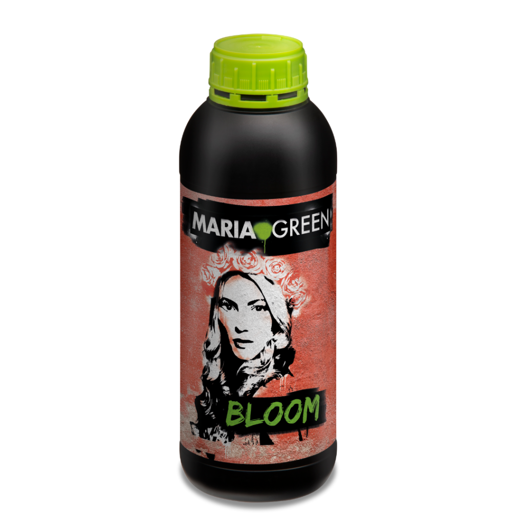 Bloom Maria Green - 250 ml