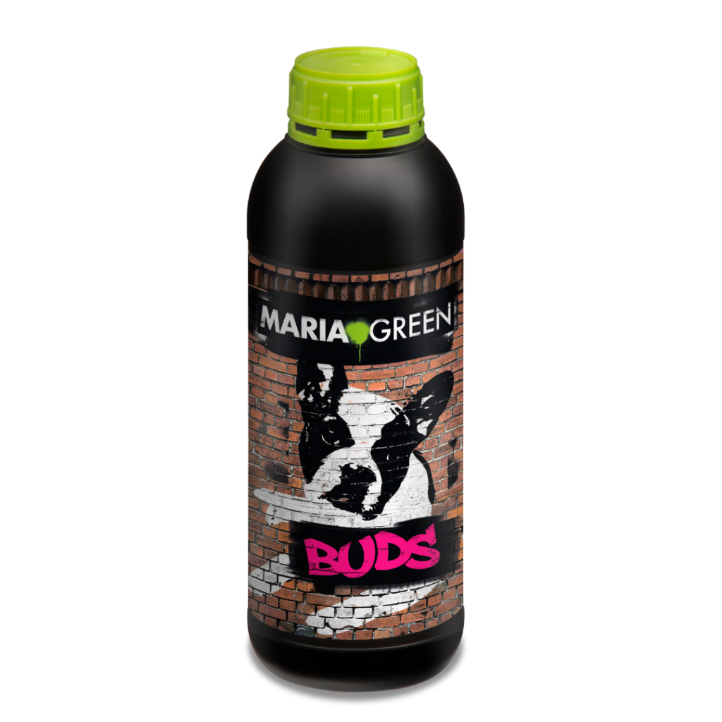 Buds Maria Green - 250 ml