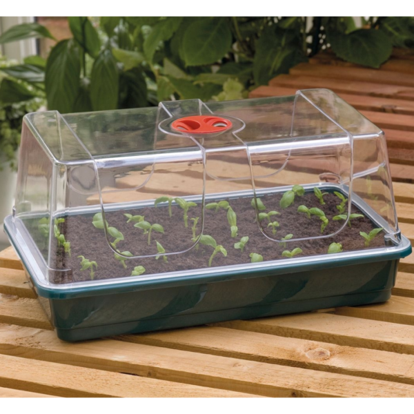 Estufa de Clonagem Garland Média 37 x 23 x 19cm para propagação de mudas com ventilação ajustável