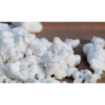 Perlita Expandida Favorita 50L, ideal para aeração do solo e equilíbrio da umidade.