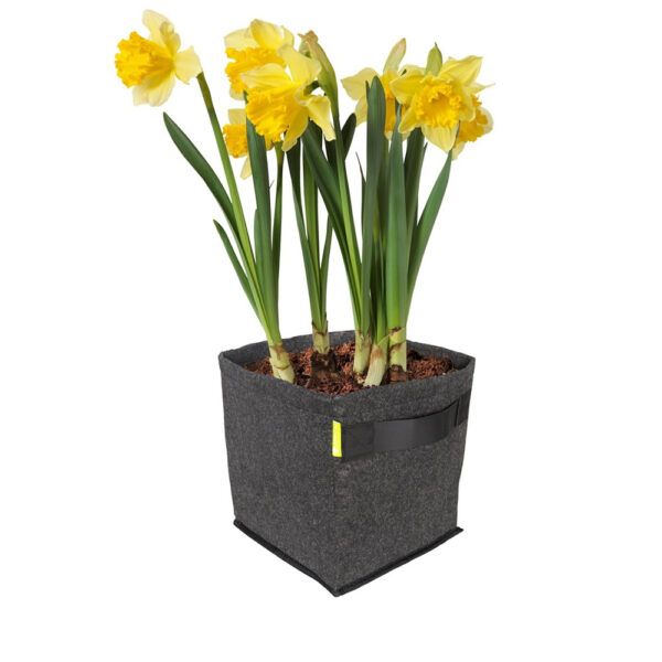 Vaso de feltro Propot Garden Highpro 50L – Melhor oxigenação para raízes saudáveis e colheitas mais produtivas.