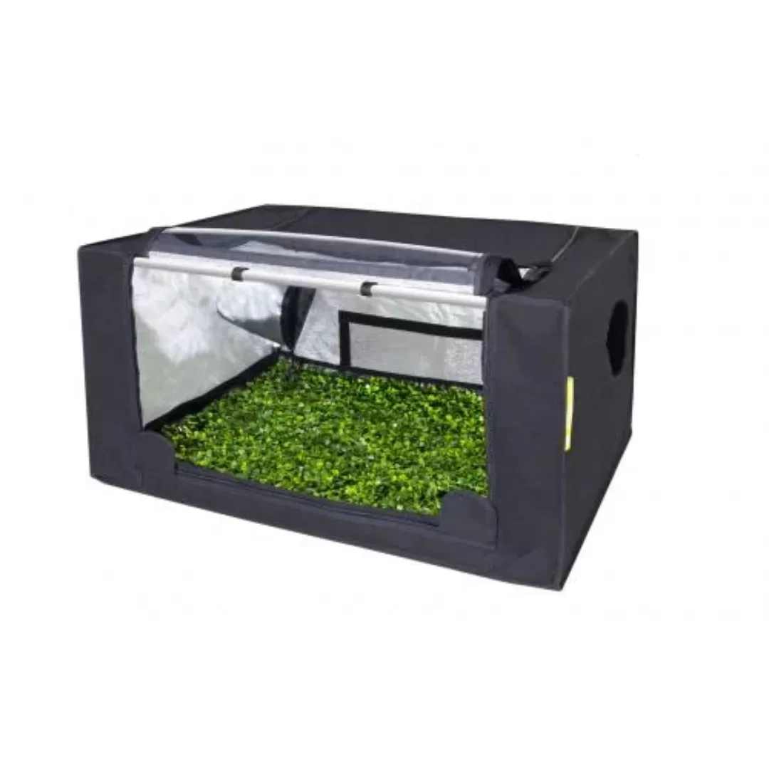 Estufa Garden Highpro Probox Propagator M 80 x 60 x 40cm Estufa Garden Highpro Probox Propagator M 80 x 60 x 40cm