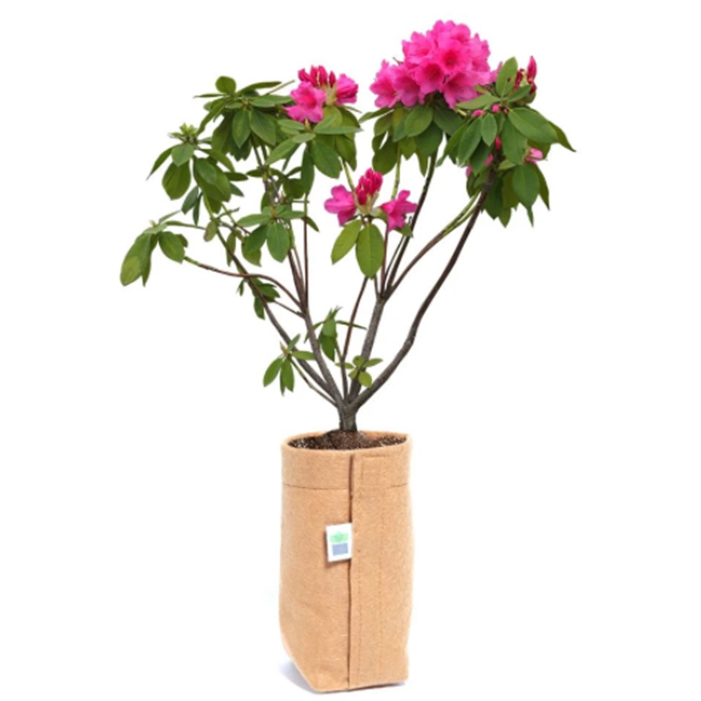 Vaso King Pot de Feltro 1L com Velcro, ideal para germinação e transplante seguro