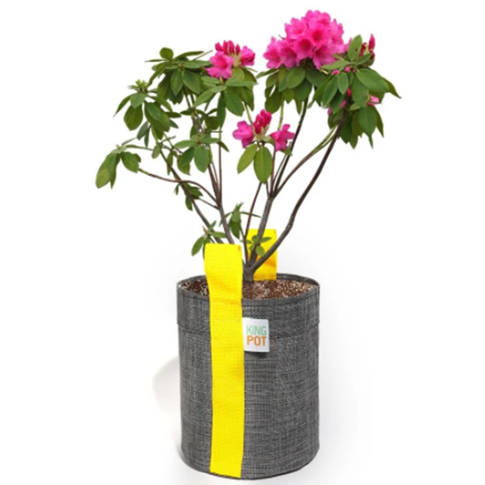 Vaso de Tela King Pot 7L Cinza com alças, ilhós para LST e excelente drenagem