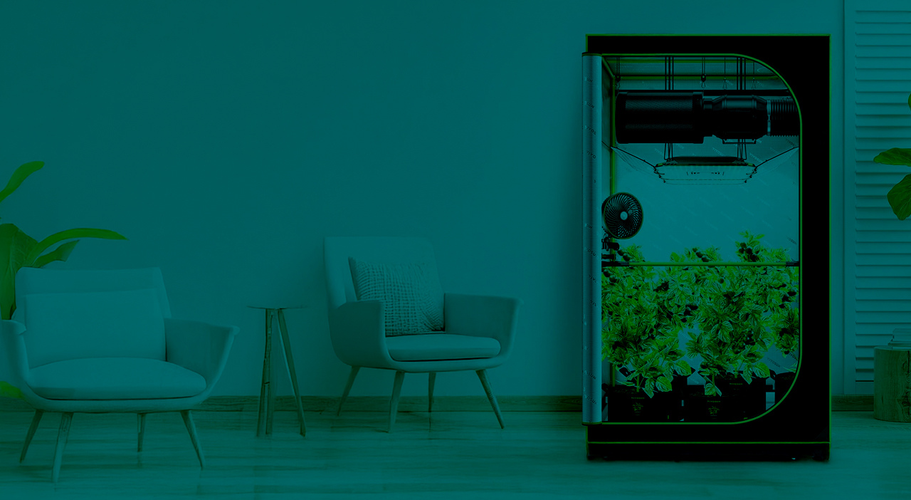 Tudo o que você precisa para cultivar em casa com eficiência: escolha os melhores grow tents, iluminação LED, ventilação, fertilizantes e muito mais. Monte seu kit indoor ideal com produtos profissionais e entrega rápida em todo o Brasil!