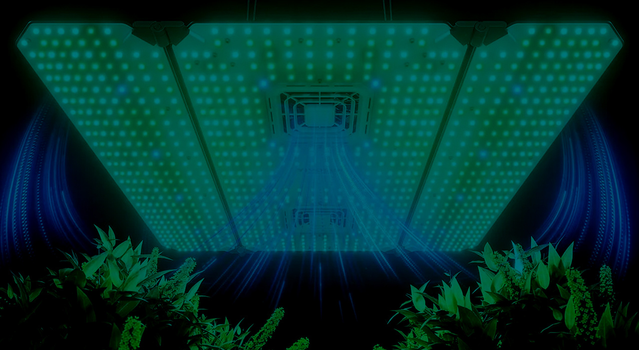 Painéis de LED para Cultivo Indoor – Eficiência e Alto Desempenho Ilumine seu cultivo com tecnologia de ponta! Nossos painéis de LED garantem o espectro ideal para todas as fases da planta, com economia de energia, alta durabilidade e máximo rendimento. Escolha o LED certo para o seu grow!