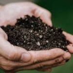 Embalagem de 10 litros do Solo Orgânico BioSolo BioCultivo, destacando sua composição rica com ingredientes naturais como Micorriza, Húmus e Guano.