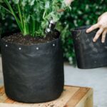 Vaso Malha PVC Biocultivo BioBag de 250 litros, mostrando a estrutura de malha que permite a oxigenação e o desenvolvimento radicular.