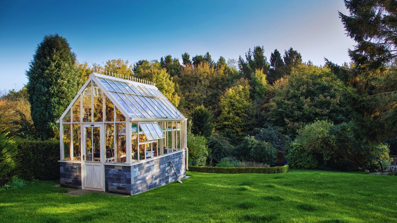 Passos iniciais para montar sua estufa de cultivo