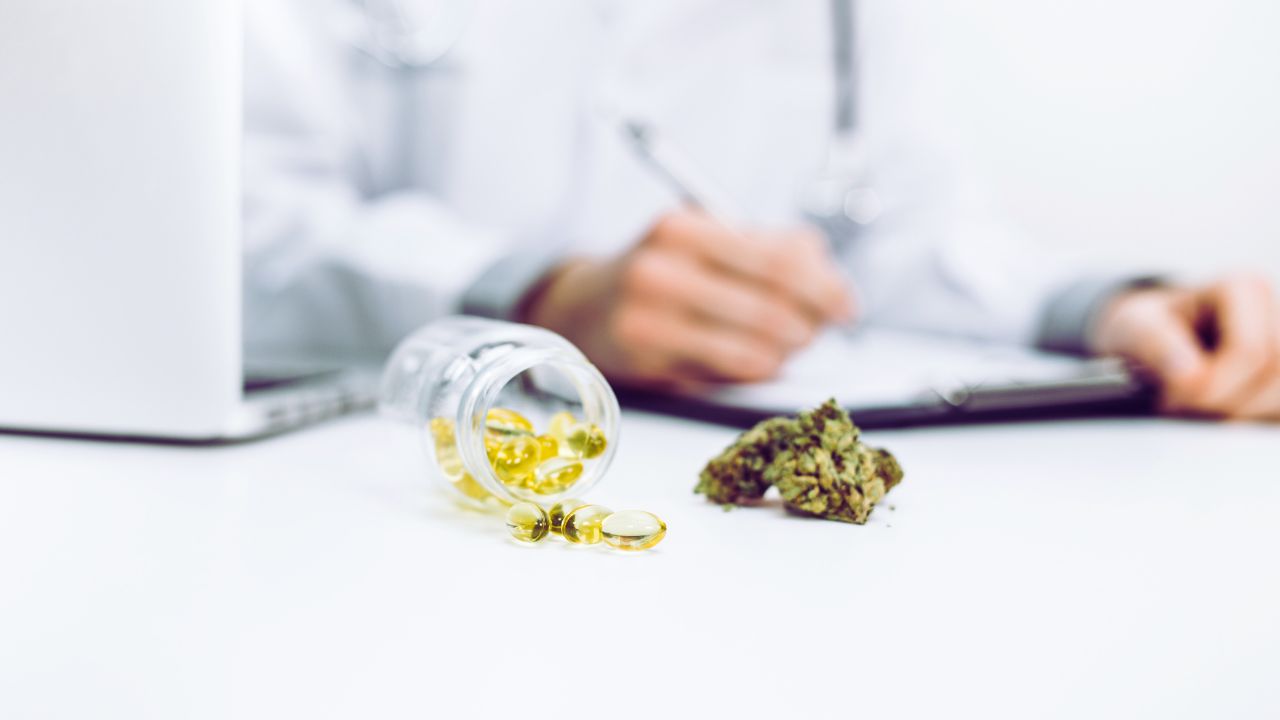 Associações canábicas no Brasil: apoio essencial para pacientes e cultivo medicinal