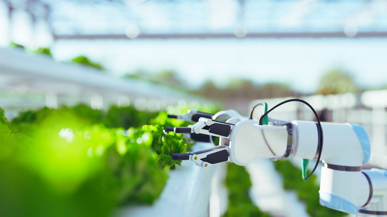 Conheça sistemas de automação para cultivo indoor