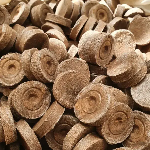 Célula de germinação Jiffy, um substrato de turfa prensada em forma de disco que se expande ao ser hidratado.