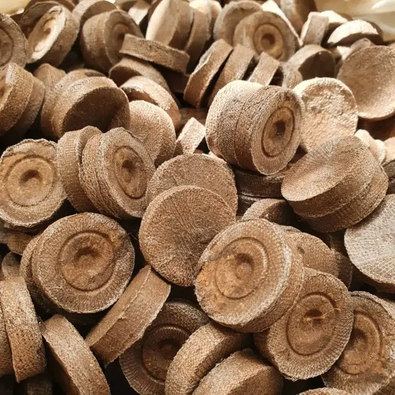 Célula de germinação Jiffy, um substrato de turfa prensada em forma de disco que se expande ao ser hidratado.