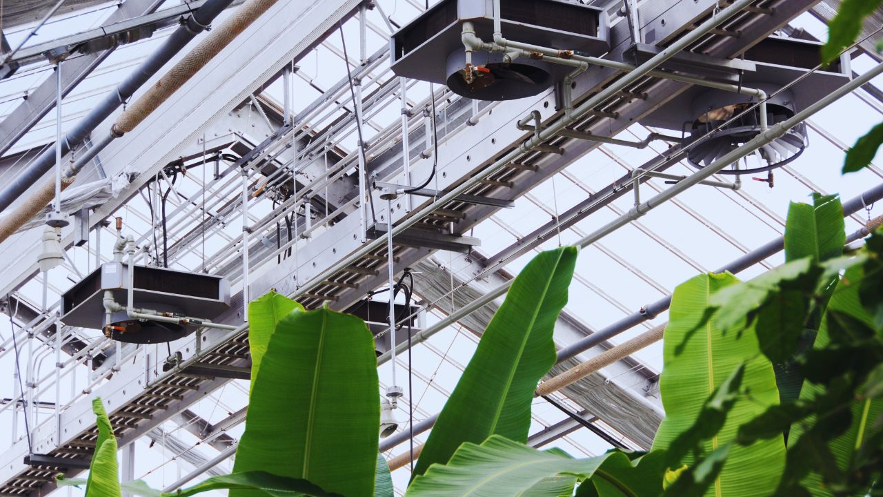 Exaustão e ventilação: o respiro essencial para seu cultivo indoor