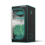 Kit de cultivo Mars Hydro com painel de LED TS1000 e estufa de 80x80x160cm, montados e prontos para uso.