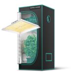 Kit de cultivo indoor com painel de LED Mars Hydro TS1000 e estufa de 60x60x140cm, montados e prontos para uso.