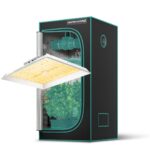 Kit de cultivo Mars Hydro com painel de LED TS1000 e estufa de 80x80x160cm, montados e prontos para uso.