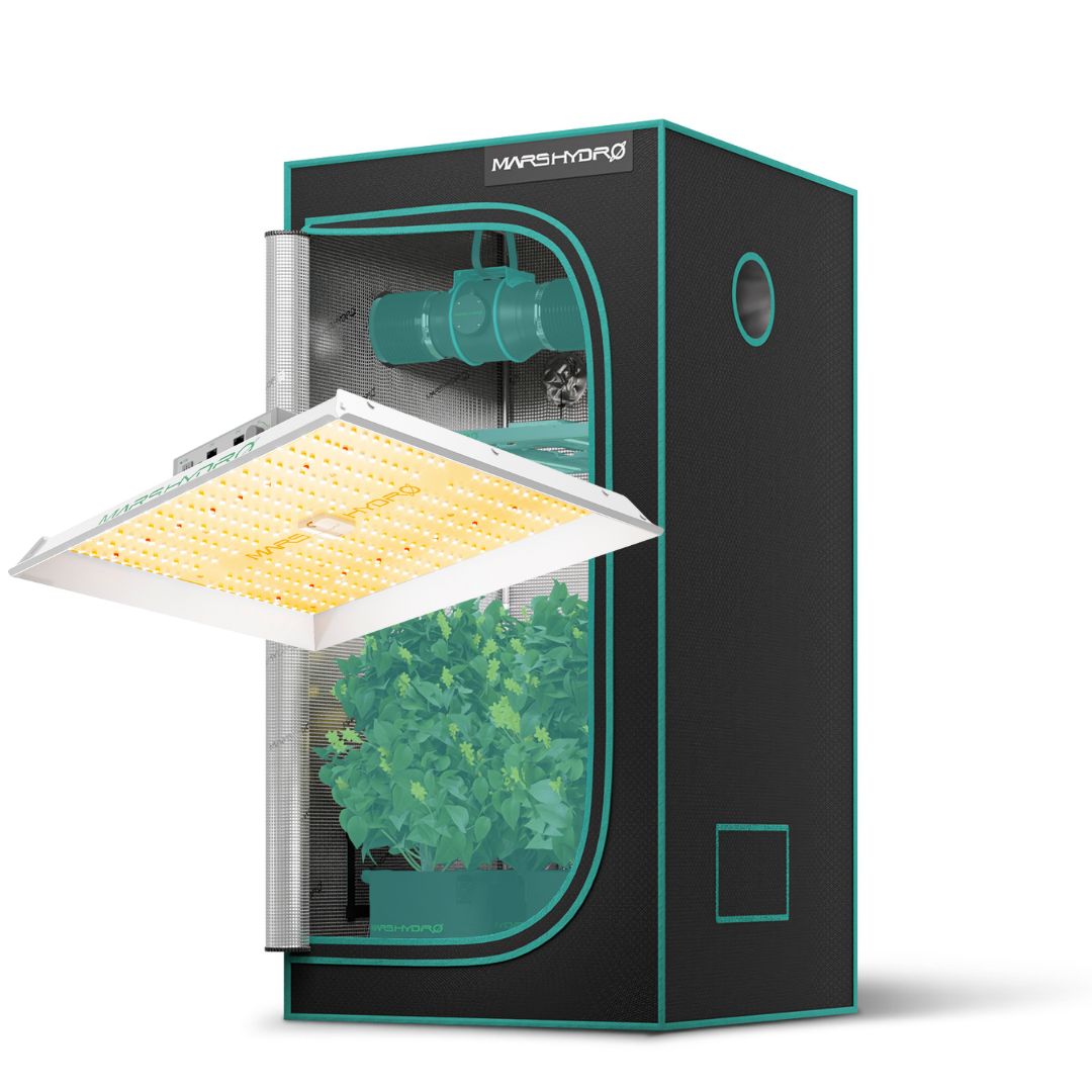 Kit Mars Hydro Painel de LED TS1000 de 150W e Estufa Premium 80 x 80 x 160cm Kit de cultivo Mars Hydro com painel de LED TS1000 e estufa de 80x80x160cm, montados e prontos para uso.