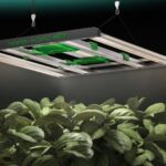 Painel de LED Mars Hydro FC-3000, um painel de cultivo indoor com múltiplos LEDs e design em barra, ideal para tendas de 100x100cm.
