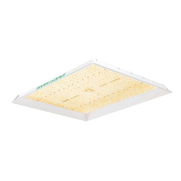 Painel de LED Mars Hydro TSL2000, um painel de cultivo indoor com formato retangular, ideal para iniciantes e tendas de 120x60cm.