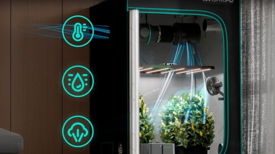 Mars Hydro: a tecnologia que ilumina e facilita o seu cultivo!