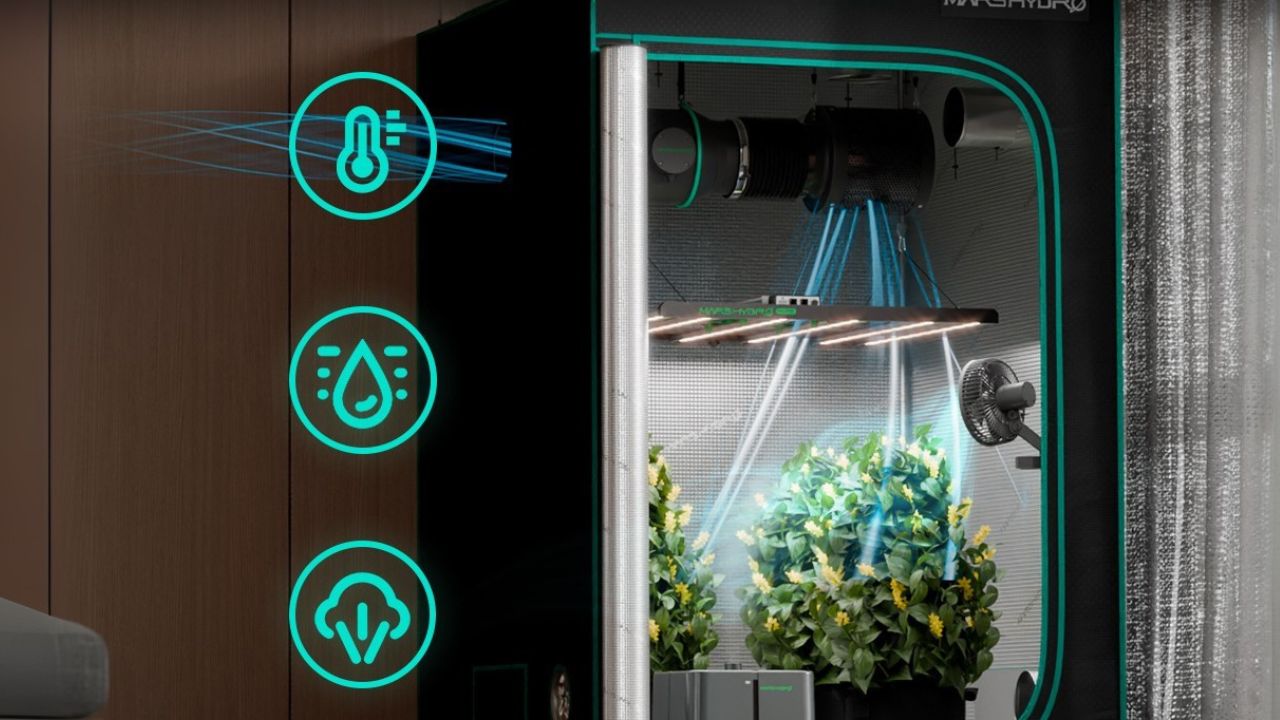 Mars Hydro: a tecnologia que ilumina e facilita o seu cultivo!