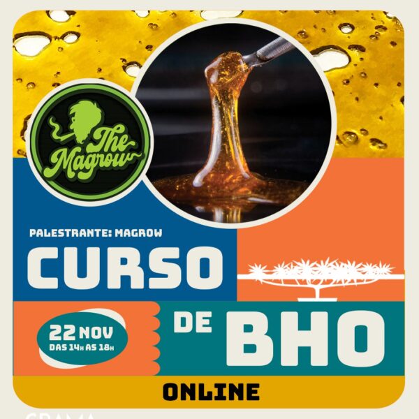 Curso ON-LINE de BHO com MAGROW - 22/11/2025