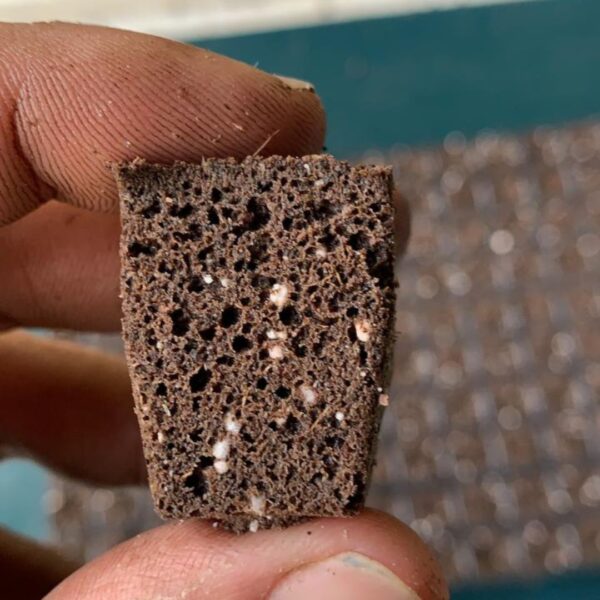 Bandeja Go Plug com 128 células pré-preenchidas com substrato estabilizado, prontas para o plantio de mudas.