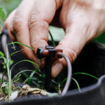 Suporte de distribuição - Imagem 2