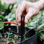 Suporte de distribuição - Imagem 3