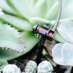 Distribuidor Conta Gotas Final - Imagem 2