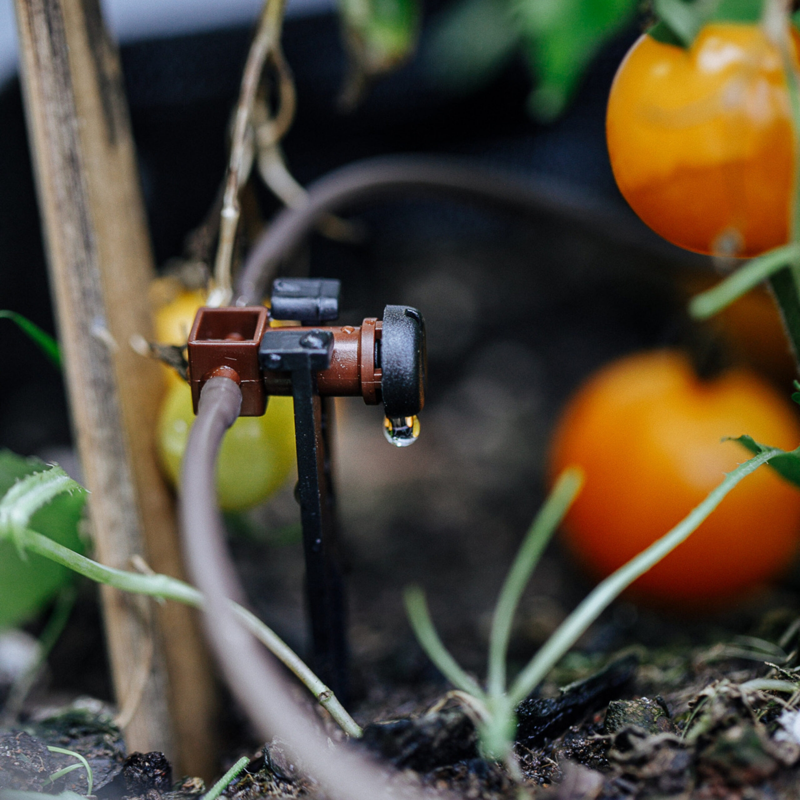 15515031286-15514984258-grama-cultivo-tubo-3mm-blumat-1-scaled-1.jpg Tubo para Conta Gotas 3mm - Imagem 1