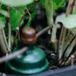 Irrigador Tropf-Blumat - Imagem 2