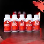 Caixa do Full Starter Kit Cannadian Grow 100ml aberta exibindo os cinco frascos de fertilizantes alinhados lado a lado.