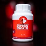 Frasco do fertilizante mineral misto fluido Cannadian Roots exibindo rótulo preto e verde com a identificação da marca Cannadian Green Lab.