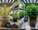 Condutividade elétrica (EC): o guia técnico para evitar o overfert